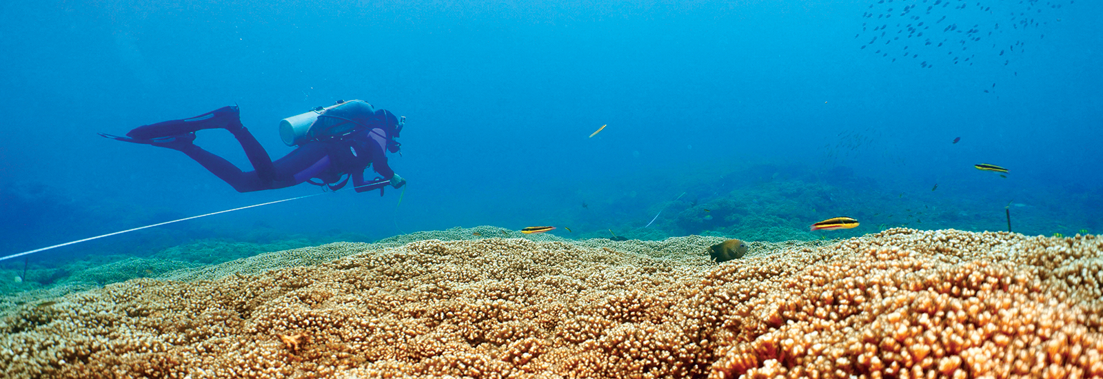 Rosenstiel School of Marine, Atmospheric, and Earth Science