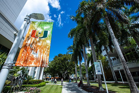 Miller School of Medicine