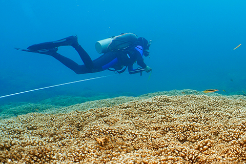Rosenstiel School of Marine, Atmospheric, and Earth Science