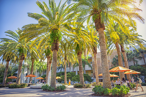 School of Education and Human Development 